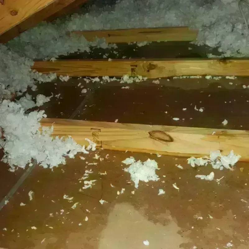 Attic Water Damage in Madison, NE