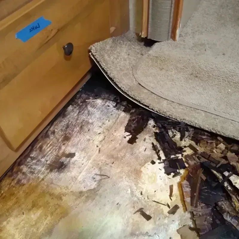 Wood Floor Water Damage in Madison, NE